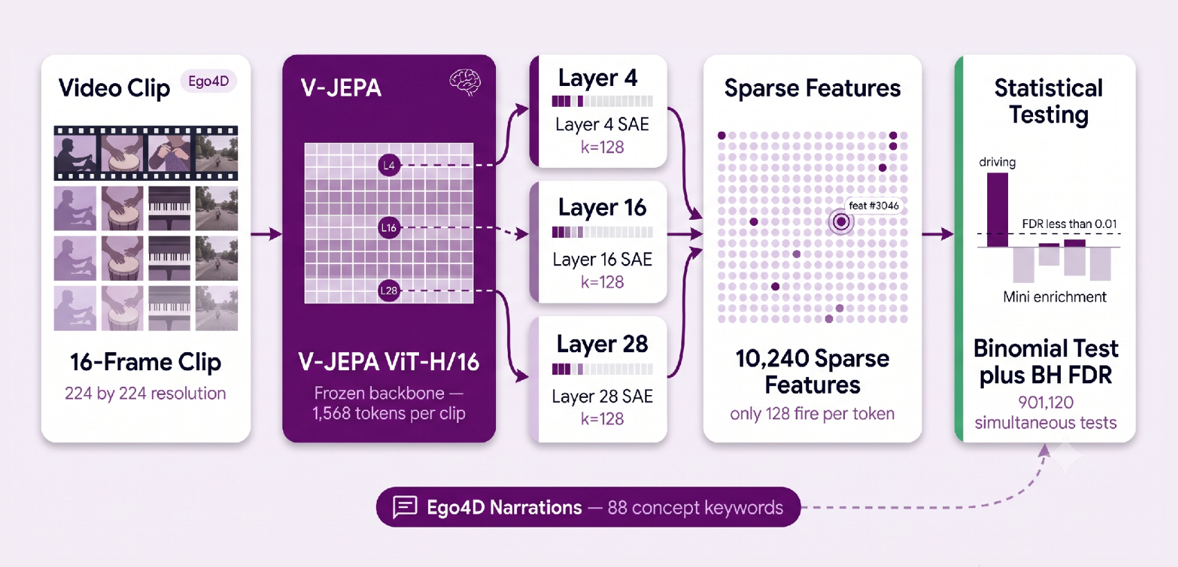 What Does V-JEPA See? Sparse Autoencoders Reveal Interpretable Concepts in Video Foundation Models